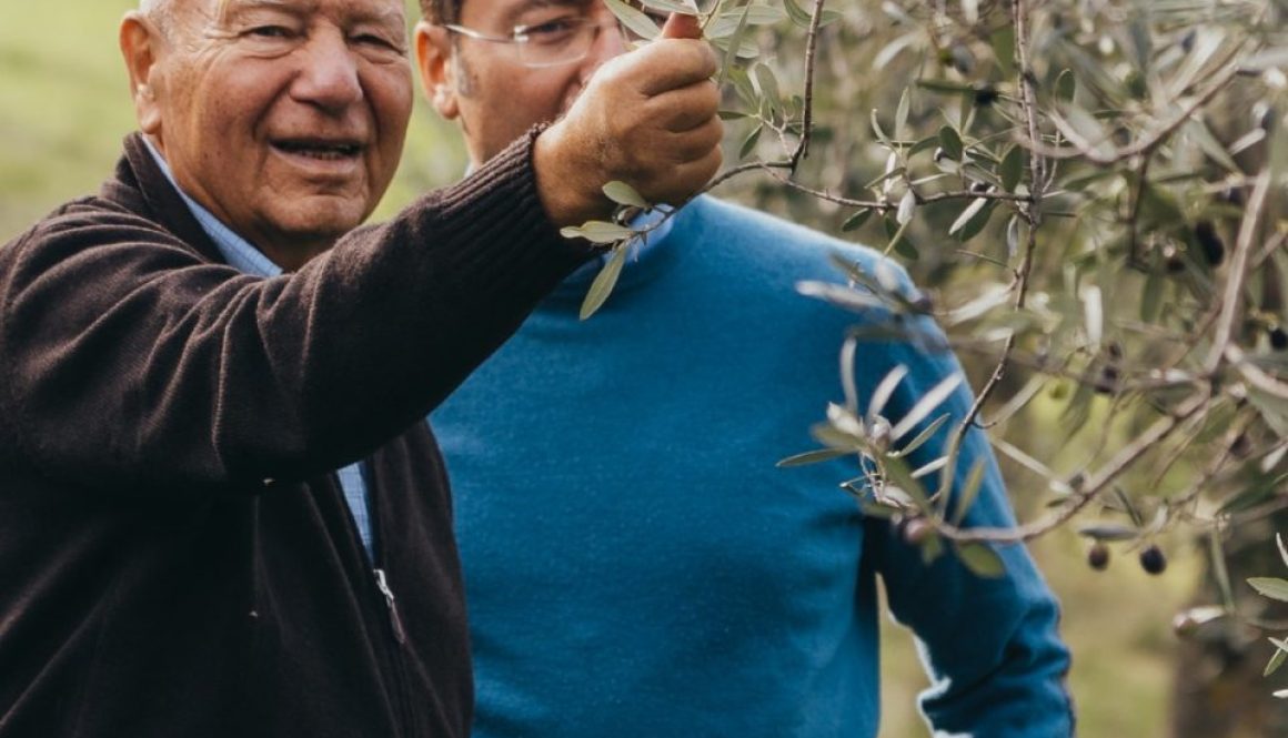 olio trevi il frantoio