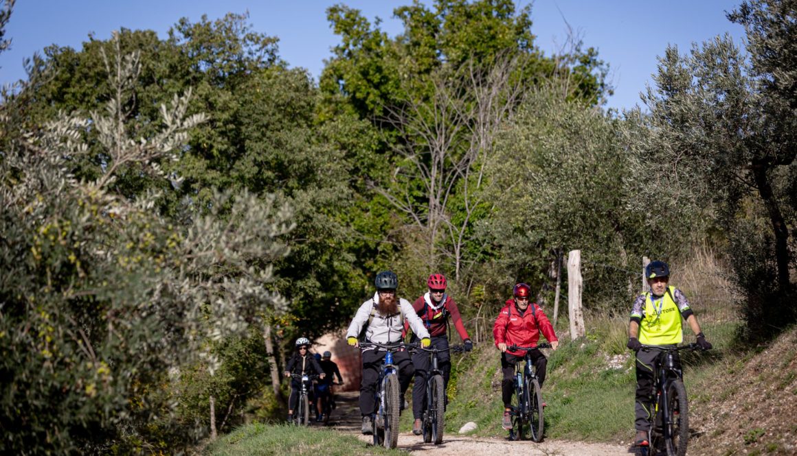 Passeggiate in bicicletta