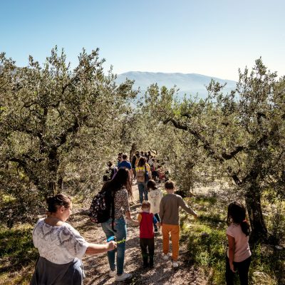 passeggiate tra gli uliviv 2