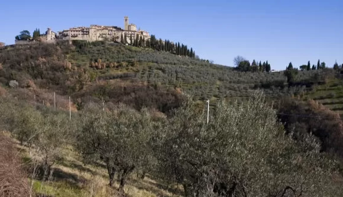 sabato 26 Ottobre 2024 – Passeggiate in bicicletta a Gualdo Cattaneo